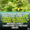 Chhattisgarh High Court Grants Bail Citing Non-Commercial Quantity of Cannabis and Absence of Criminal Antecedents, Imposes Strict Conditions to Prevent Abuse