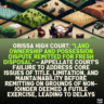 Orissa High Court: "Land Ownership and Possession Dispute Remitted for Fresh Disposal" – Appellate Court's Failure to Address Core Issues of Title, Limitation, and Maintainability Before Remitting on Grounds of Non-Joinder Deemed a Futile Exercise, Leading to Delays