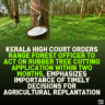 Kerala High Court Orders Range Forest Officer to Act on Rubber Tree Cutting Application Within Two Months, Emphasizes Importance of Timely Decisions for Agricultural Replantation