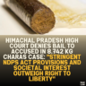 Himachal Pradesh High Court Denies Bail to Accused in 8.742 kg Charas Case: "Stringent NDPS Act Provisions and Societal Interest Outweigh Right to Liberty"