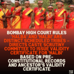 Bombay High Court Rules 'Halba' and 'Halbi' Are Distinct Scheduled Tribes – Directs Caste Scrutiny Committee to Issue Validity Certificate for 'Halbi' Based on Pre-Constitutional Records and Ancestor’s Validity Certificate