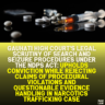 Gauhati High Court's Legal Scrutiny of Search and Seizure Procedures Under the NDPS Act: Upholds Conviction While Rejecting Claims of Procedural Violations and Questionable Evidence Handling in Narcotics Trafficking Case