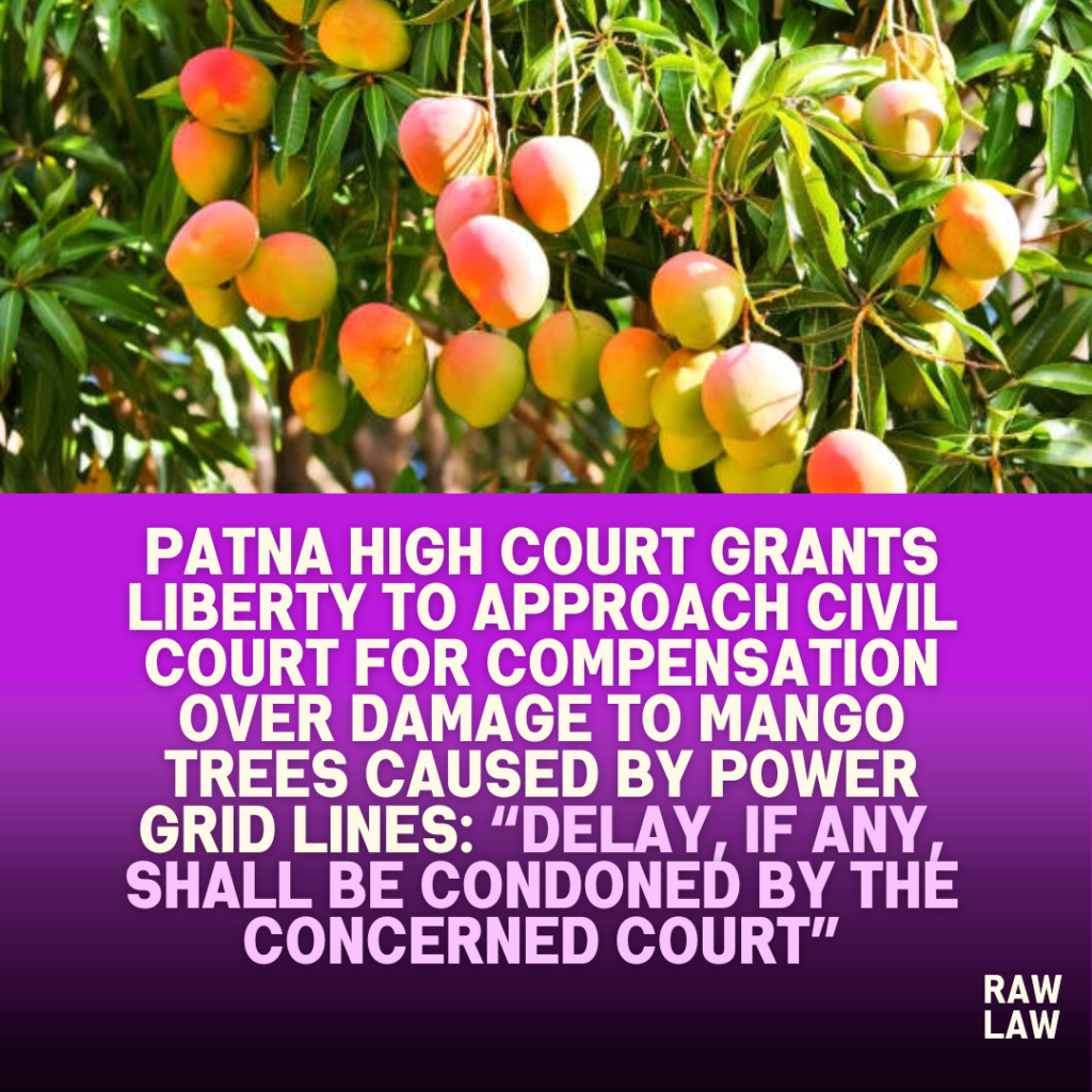 mango trees power grid lines