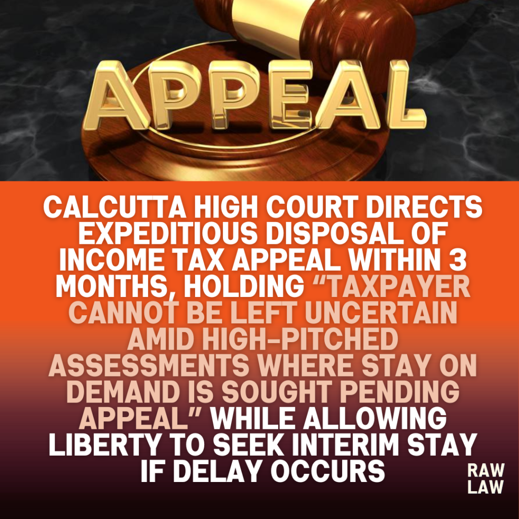 income tax appeal