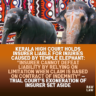 temple elephant insurer liability