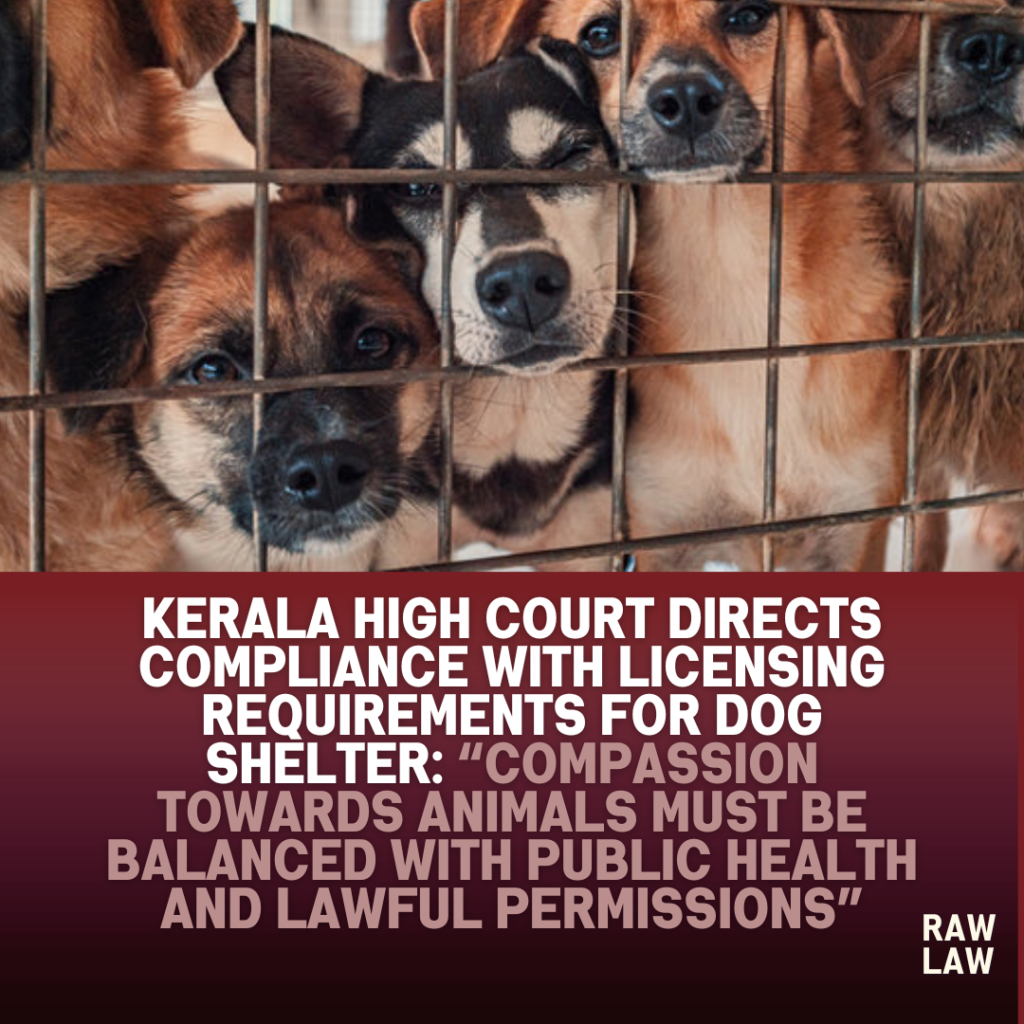 dog shelter