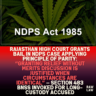 Rajasthan-High-Court-Grants-Bail-in-NDPS-Case-Applying-Principle-of-Parity-Granting-relief-without-merits-discussion-is-justified-when-circumstances-are-identical-—-Section-483-BNSS-Invoked-for-Long-Custody-Accused