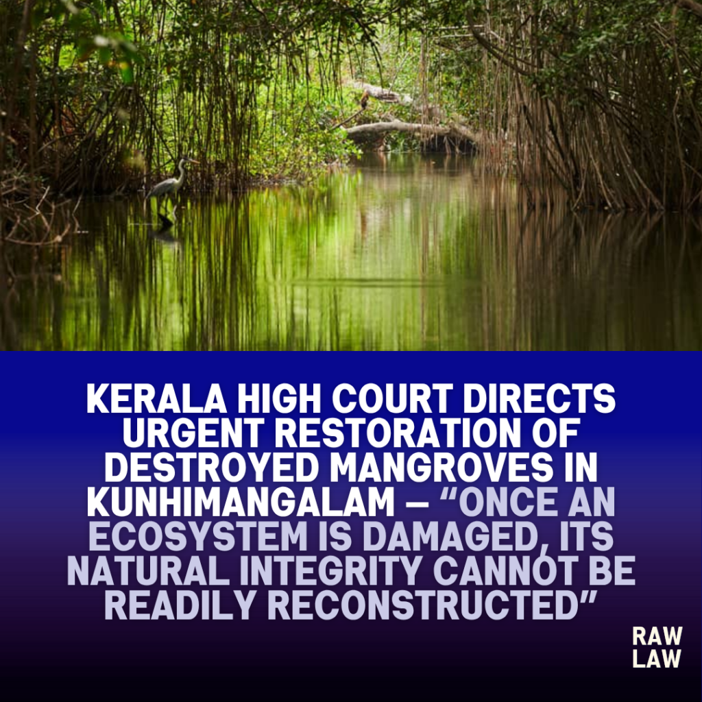 Kerala High Court Directs Urgent Restoration of Destroyed Mangroves in Kunhimangalam — “Once an Ecosystem is Damaged, Its Natural Integrity Cannot Be Readily Reconstructed” 1 magrove