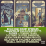 Delhi High Court upholds transfer of child custody to father — tender years doctrine diluted, parental alienation by mother proved; welfare of children demands stable, unified upbringing 3 child custody